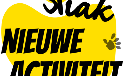 NIEUWE ACTIVITEIT